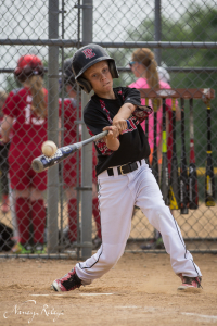 baseball hitting bat