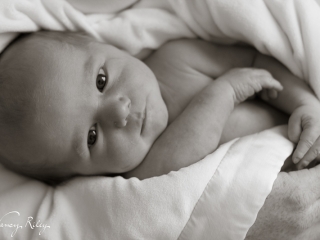 Newborn in blanket