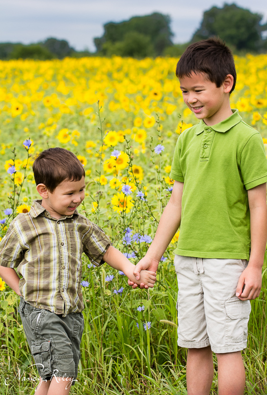 Boys in sunflower field