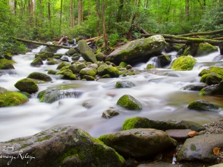 Smoky Mountains stream