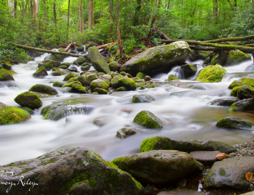 Up a creek without a tripod