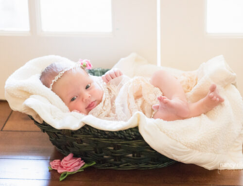 Newborn girl in February