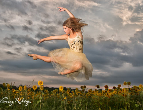 Dancer over sunflowers