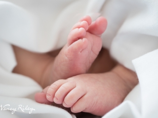 Newborn feet