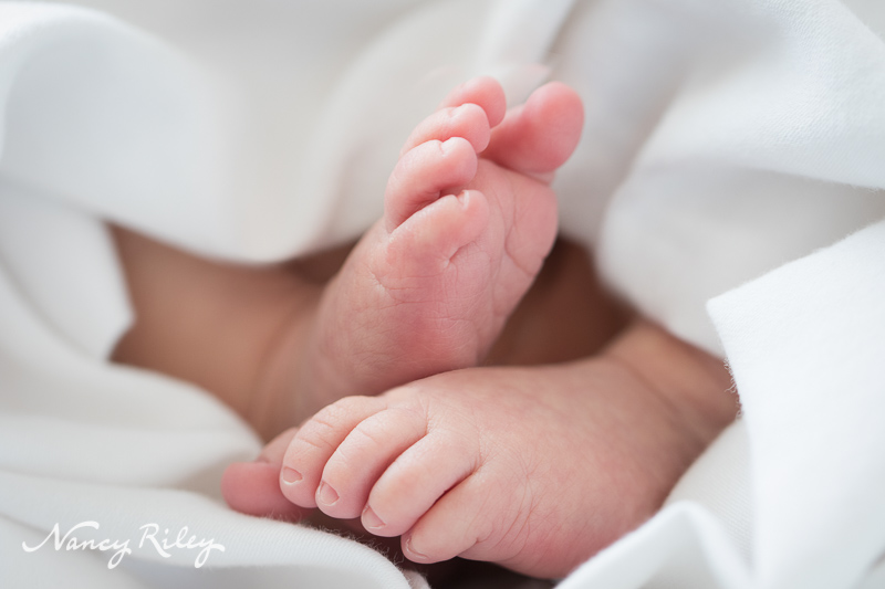 Newborn feet
