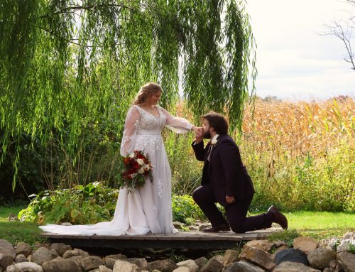 Katie and Michael’s wedding at The Willow Tree