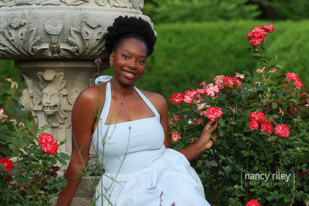 Senior portrait rose garden Senior portrait rose garden